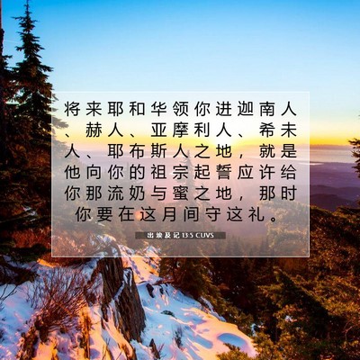 Picture 07 - 出 埃 及 记 13:5 CUVS - 将 来 耶 和 华 领 你 进 迦 南 人 、 - Bible Verse Picture