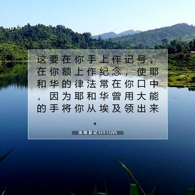Picture 07 - 出 埃 及 记 13:9 CUVS - 这 要 在 你 手 上 作 记 号 ， 在 你 - Bible Verse Picture