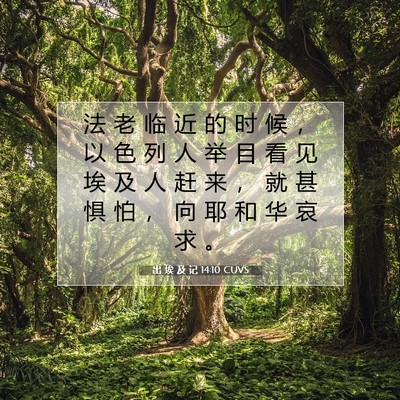Picture 07 - 出 埃 及 记 14:10 CUVS - 法 老 临 近 的 时 候 ， 以 色 列 人 - Bible Verse Picture