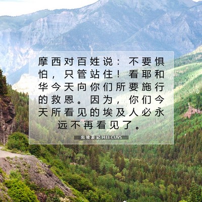 Picture 07 - 出 埃 及 记 14:13 CUVS - 摩 西 对 百 姓 说 ： 不 要 惧 怕 ， - Bible Verse Picture