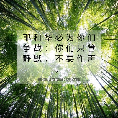 Picture 07 - 出 埃 及 记 14:14 CUVS - 耶 和 华 必 为 你 们 争 战 ； 你 们 - Bible Verse Picture