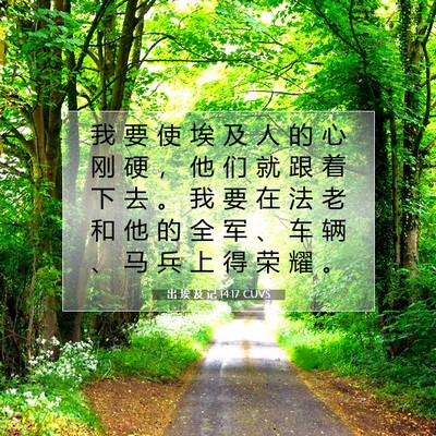 Picture 07 - 出 埃 及 记 14:17 CUVS - 我 要 使 埃 及 人 的 心 刚 硬 ， 他 - Bible Verse Picture
