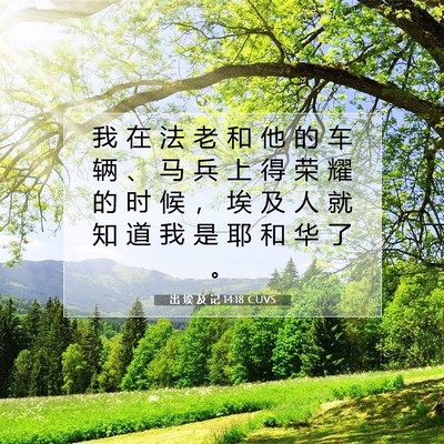 Picture 07 - 出 埃 及 记 14:18 CUVS - 我 在 法 老 和 他 的 车 辆 、 马 兵 - Bible Verse Picture