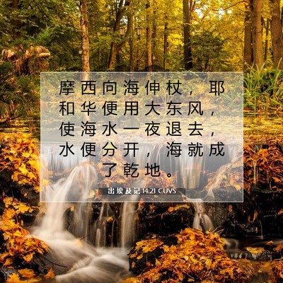 Picture 07 - 出 埃 及 记 14:21 CUVS - 摩 西 向 海 伸 杖 ， 耶 和 华 便 用 - Bible Verse Picture