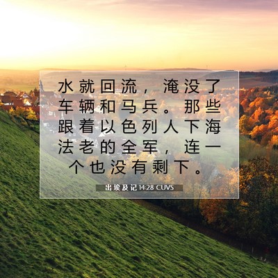 Picture 07 - 出 埃 及 记 14:28 CUVS - 水 就 回 流 ， 淹 没 了 车 辆 和 马 - Bible Verse Picture