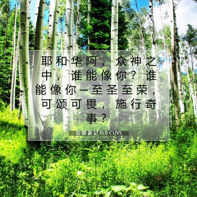 Picture 07 - 出 埃 及 记 15:11 CUVS - 耶 和 华 阿 ， 众 神 之 中 ， 谁 能 - Bible Verse Picture