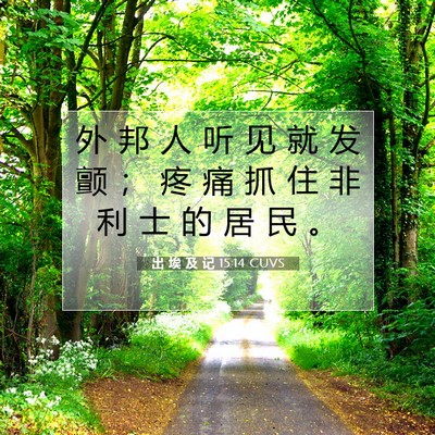 Picture 07 - 出 埃 及 记 15:14 CUVS - 外 邦 人 听 见 就 发 颤 ； 疼 痛 抓 - Bible Verse Picture