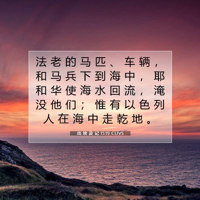Picture 07 - 出 埃 及 记 15:19 CUVS - 法 老 的 马 匹 、 车 辆 ， 和 马 兵 - Bible Verse Picture