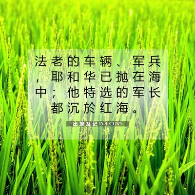 Picture 07 - 出 埃 及 记 15:4 CUVS - 法 老 的 车 辆 、 军 兵 ， 耶 和 华 - Bible Verse Picture