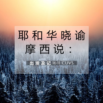 Picture 07 - 出 埃 及 记 16:11 CUVS - 耶 和 华 晓 谕 摩 西 说 - Bible Verse Picture