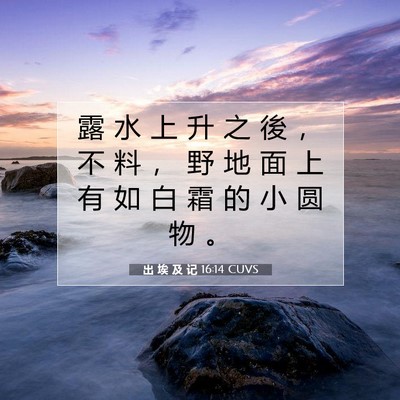 Picture 07 - 出 埃 及 记 16:14 CUVS - 露 水 上 升 之 後 ， 不 料 ， 野 地 - Bible Verse Picture