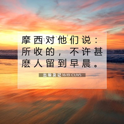 Picture 07 - 出 埃 及 记 16:19 CUVS - 摩 西 对 他 们 说 ： 所 收 的 ， 不 - Bible Verse Picture
