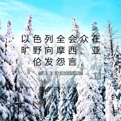 Picture 07 - 出 埃 及 记 16:2 CUVS - 以 色 列 全 会 众 在 旷 野 向 摩 西 - Bible Verse Picture