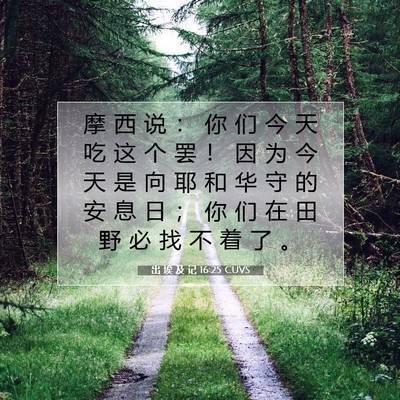 Picture 07 - 出 埃 及 记 16:25 CUVS - 摩 西 说 ： 你 们 今 天 吃 这 个 罢 - Bible Verse Picture