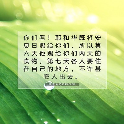 Picture 07 - 出 埃 及 记 16:29 CUVS - 你 们 看 ！ 耶 和 华 既 将 安 息 日 - Bible Verse Picture