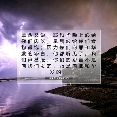 Picture 07 - 出 埃 及 记 16:8 CUVS - 摩 西 又 说 ： 耶 和 华 晚 上 必 给 - Bible Verse Picture