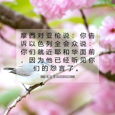 Picture 07 - 出 埃 及 记 16:9 CUVS - 摩 西 对 亚 伦 说 ： 你 告 诉 以 色 - Bible Verse Picture