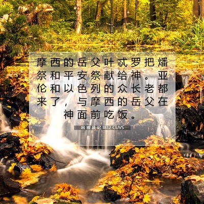 Picture 07 - 出 埃 及 记 18:12 CUVS - 摩 西 的 岳 父 叶 忒 罗 把 燔 祭 和 - Bible Verse Picture
