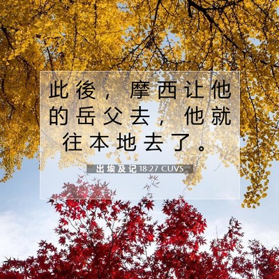 Picture 07 - 出 埃 及 记 18:27 CUVS - 此 後 ， 摩 西 让 他 的 岳 父 去 ， - Bible Verse Picture