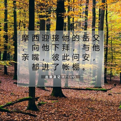 Picture 07 - 出 埃 及 记 18:7 CUVS - 摩 西 迎 接 他 的 岳 父 ， 向 他 下 - Bible Verse Picture