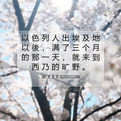 Picture 07 - 出 埃 及 记 19:1 CUVS - 以 色 列 人 出 埃 及 地 以 後 ， 满 - Bible Verse Picture