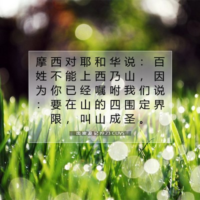 Picture 07 - 出 埃 及 记 19:23 CUVS - 摩 西 对 耶 和 华 说 ： 百 姓 不 能 - Bible Verse Picture