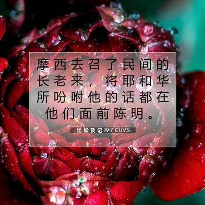 Picture 07 - 出 埃 及 记 19:7 CUVS - 摩 西 去 召 了 民 间 的 长 老 来 ， - Bible Verse Picture