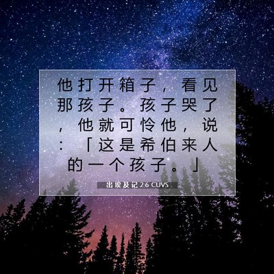 Picture 07 - 出 埃 及 记 2:6 CUVS - 他 打 开 箱 子 ， 看 见 那 孩 子 。 - Bible Verse Picture