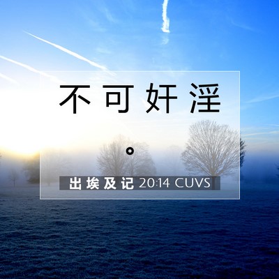 Picture 07 - 出 埃 及 记 20:14 CUVS - 不 可 奸 淫 - Bible Verse Picture