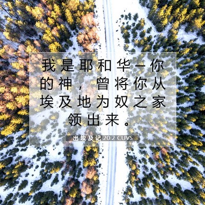 Picture 07 - 出 埃 及 记 20:2 CUVS - 我 是 耶 和 华 ─ 你 的 神 ， 曾 将 - Bible Verse Picture