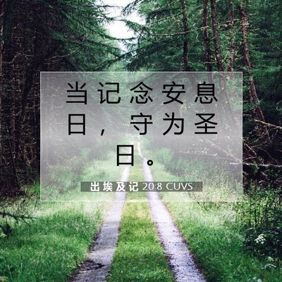 Picture 07 - 出 埃 及 记 20:8 CUVS - 当 记 念 安 息 日 ， 守 为 圣 日 - Bible Verse Picture