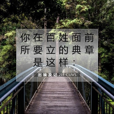 Picture 07 - 出 埃 及 记 21:1 CUVS - 你 在 百 姓 面 前 所 要 立 的 典 章 - Bible Verse Picture