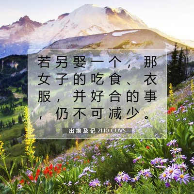 Picture 07 - 出 埃 及 记 21:10 CUVS - 若 另 娶 一 个 ， 那 女 子 的 吃 食 - Bible Verse Picture