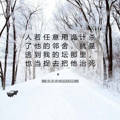 Picture 07 - 出 埃 及 记 21:14 CUVS - 人 若 任 意 用 诡 计 杀 了 他 的 邻 - Bible Verse Picture