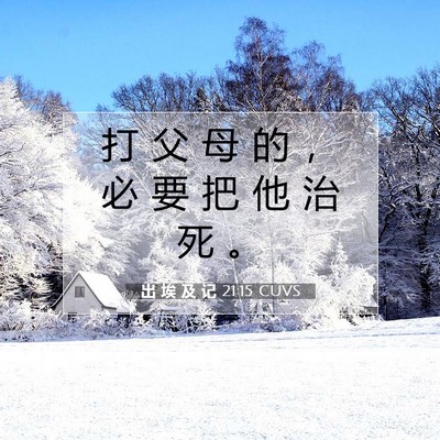 Picture 07 - 出 埃 及 记 21:15 CUVS - 打 父 母 的 ， 必 要 把 他 治 死 - Bible Verse Picture