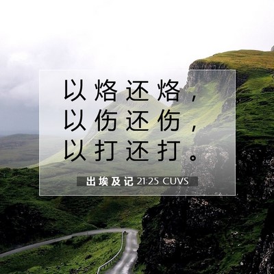 Picture 07 - 出 埃 及 记 21:25 CUVS - 以 烙 还 烙 ， 以 伤 还 伤 ， 以 打 - Bible Verse Picture