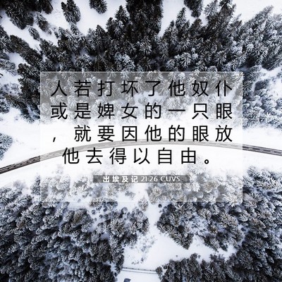 Picture 07 - 出 埃 及 记 21:26 CUVS - 人 若 打 坏 了 他 奴 仆 或 是 婢 女 - Bible Verse Picture