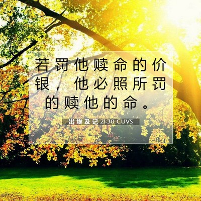 Picture 07 - 出 埃 及 记 21:30 CUVS - 若 罚 他 赎 命 的 价 银 ， 他 必 照 - Bible Verse Picture