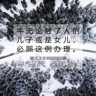 Picture 07 - 出 埃 及 记 21:31 CUVS - 牛 无 论 触 了 人 的 儿 子 或 是 女 - Bible Verse Picture