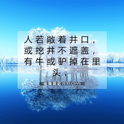 Picture 07 - 出 埃 及 记 21:33 CUVS - 人 若 敞 着 井 口 ， 或 挖 井 不 遮 - Bible Verse Picture