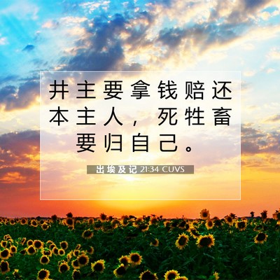 Picture 07 - 出 埃 及 记 21:34 CUVS - 井 主 要 拿 钱 赔 还 本 主 人 ， 死 - Bible Verse Picture