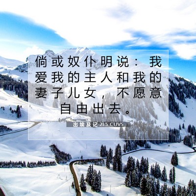 Picture 07 - 出 埃 及 记 21:5 CUVS - 倘 或 奴 仆 明 说 ： 我 爱 我 的 主 - Bible Verse Picture