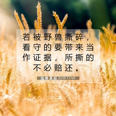 Picture 07 - 出 埃 及 记 22:13 CUVS - 若 被 野 兽 撕 碎 ， 看 守 的 要 带 - Bible Verse Picture