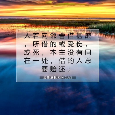 Picture 07 - 出 埃 及 记 22:14 CUVS - 人 若 向 邻 舍 借 甚 麽 ， 所 借 的 - Bible Verse Picture