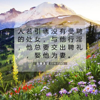 Picture 07 - 出 埃 及 记 22:16 CUVS - 人 若 引 诱 没 有 受 聘 的 处 女 ， - Bible Verse Picture