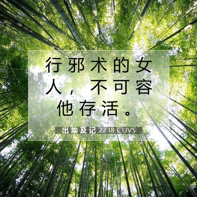 Picture 07 - 出 埃 及 记 22:18 CUVS - 行 邪 术 的 女 人 ， 不 可 容 他 存 - Bible Verse Picture