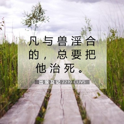 Picture 07 - 出 埃 及 记 22:19 CUVS - 凡 与 兽 淫 合 的 ， 总 要 把 他 治 - Bible Verse Picture