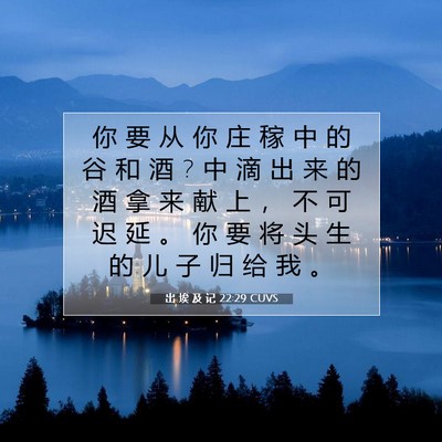 Picture 07 - 出 埃 及 记 22:29 CUVS - 你 要 从 你 庄 稼 中 的 谷 和 酒 ? 中 - Bible Verse Picture