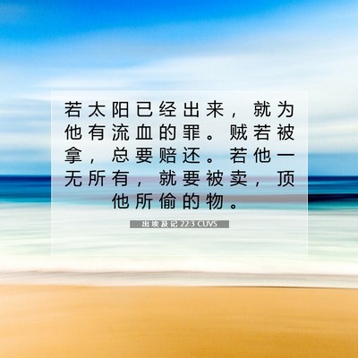 Picture 07 - 出 埃 及 记 22:3 CUVS - 若 太 阳 已 经 出 来 ， 就 为 他 有 - Bible Verse Picture