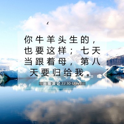 Picture 07 - 出 埃 及 记 22:30 CUVS - 你 牛 羊 头 生 的 ， 也 要 这 样 ； - Bible Verse Picture